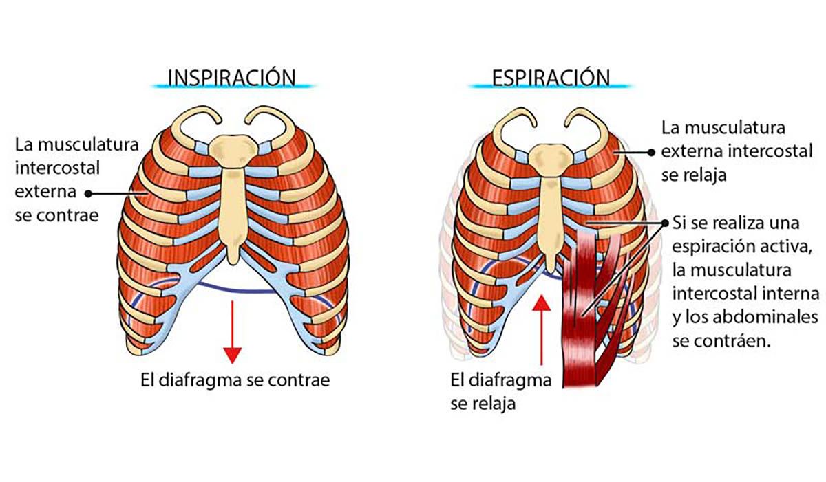 paragrapharticle 10763 5716400c57c1a