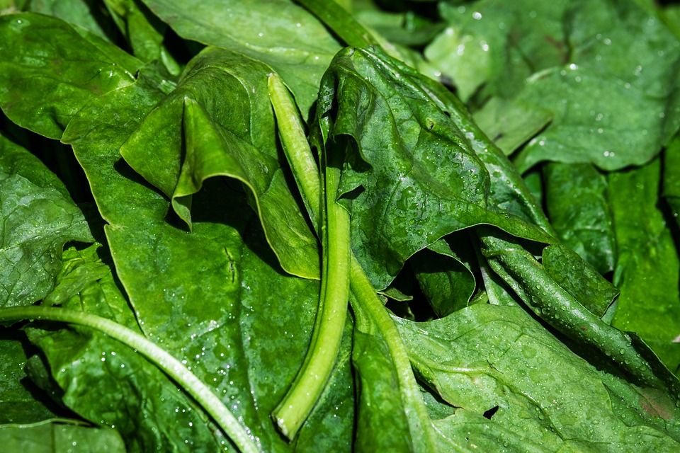 spinach 3463248 960 720