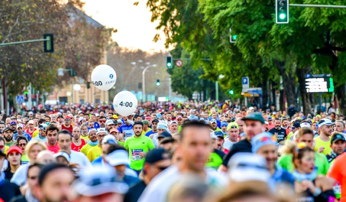 Ya están disponibles todas las fotos del Zurich Maratón de Sevilla 2022. CANOFOTOSPORT. Ya están disponibles todas las fotos del Zurich Maratón de Sevilla 2022. CANOFOTOSPORT.