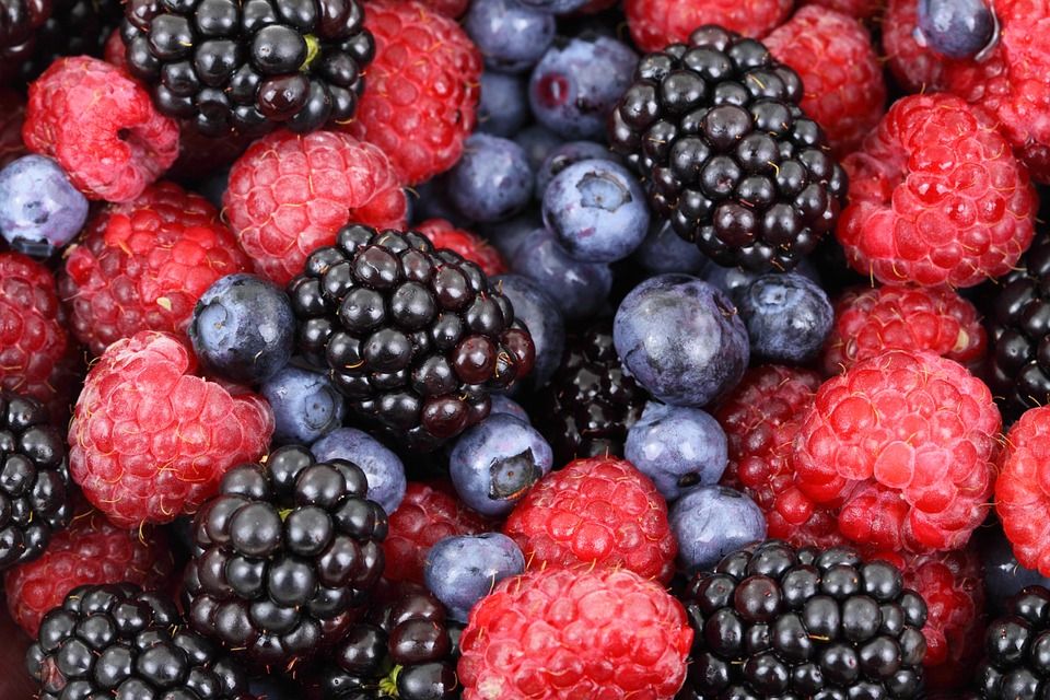 berries 2277 960 720