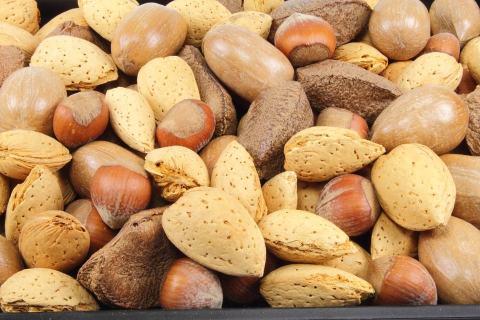 almonds 484268 960 720