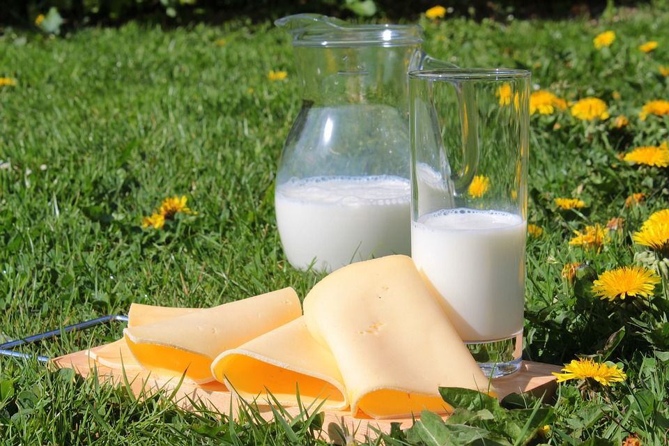 milk 1385548 960 720 milk 1385548 960 720