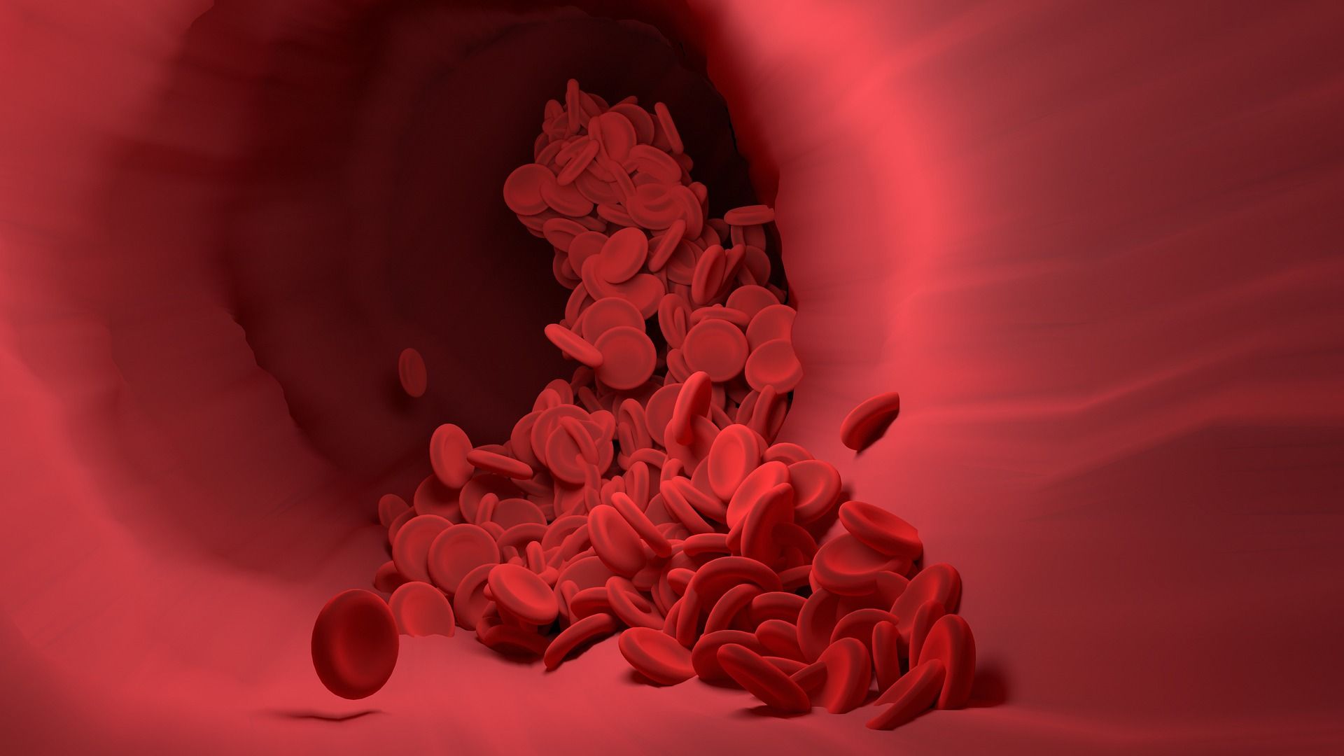 red blood cell gc3bfc2ac5 1920 red blood cell gc3bfc2ac5 1920