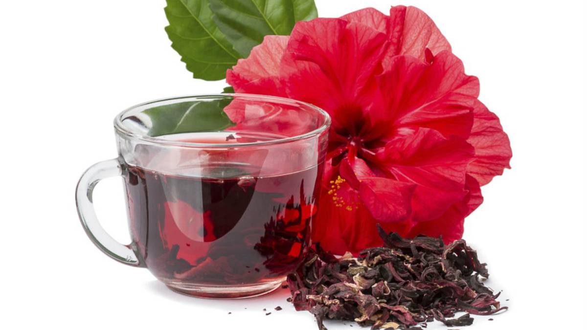 hibisco hibisco