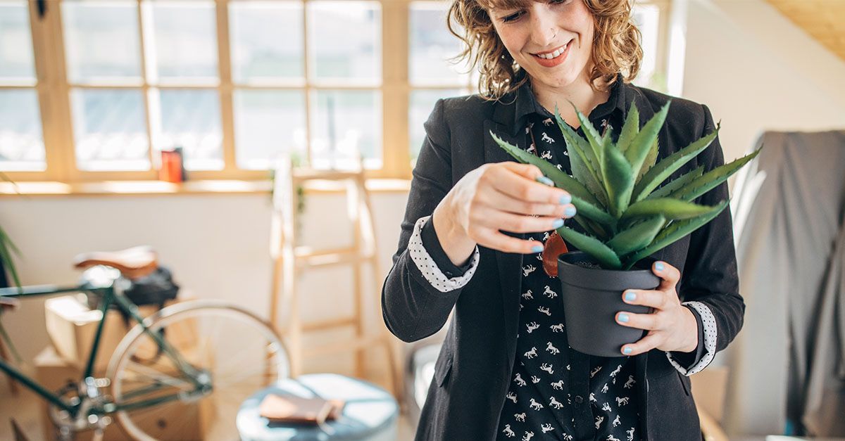 Aloe vera, la planta para deportistas