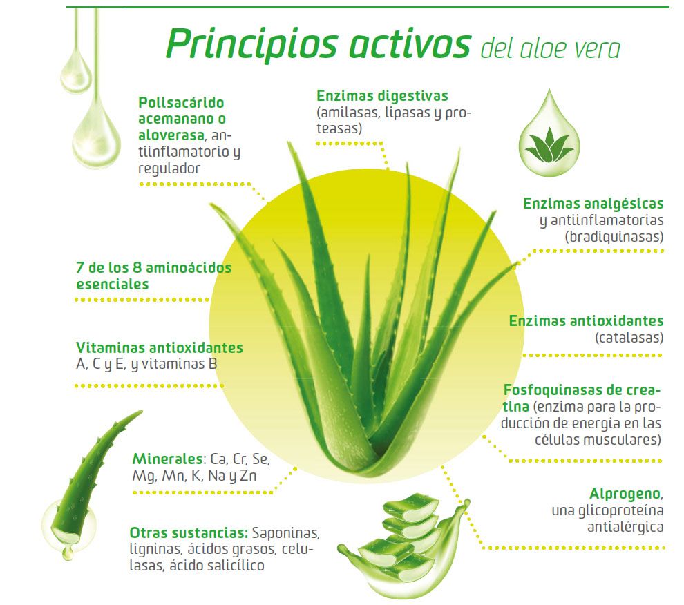 Aloe 001 Aloe 001