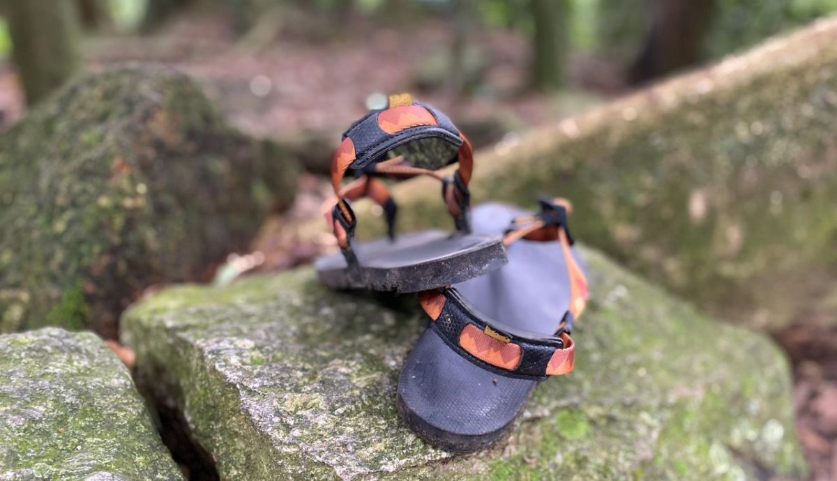 Luna Sandals MIDDLE BEAR WINGED EDITION 05 Luna Sandals MIDDLE BEAR WINGED EDITION 05