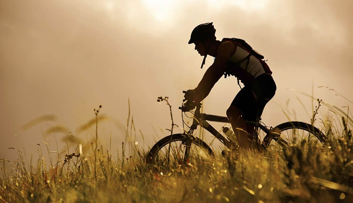 campo bici 2 campo bici 2