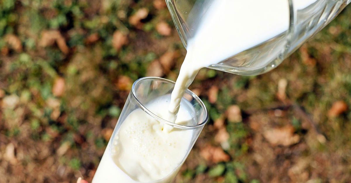 Alergia o intolerancia a la leche