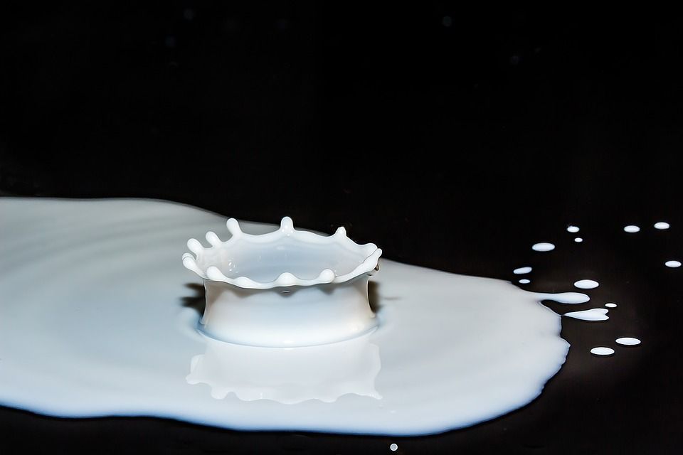 drops of milk 2062100 960 720 drops of milk 2062100 960 720
