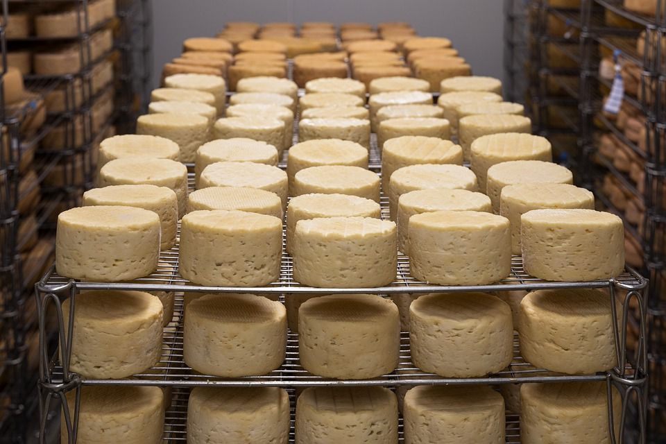 cheese 5125021 960 720 cheese 5125021 960 720