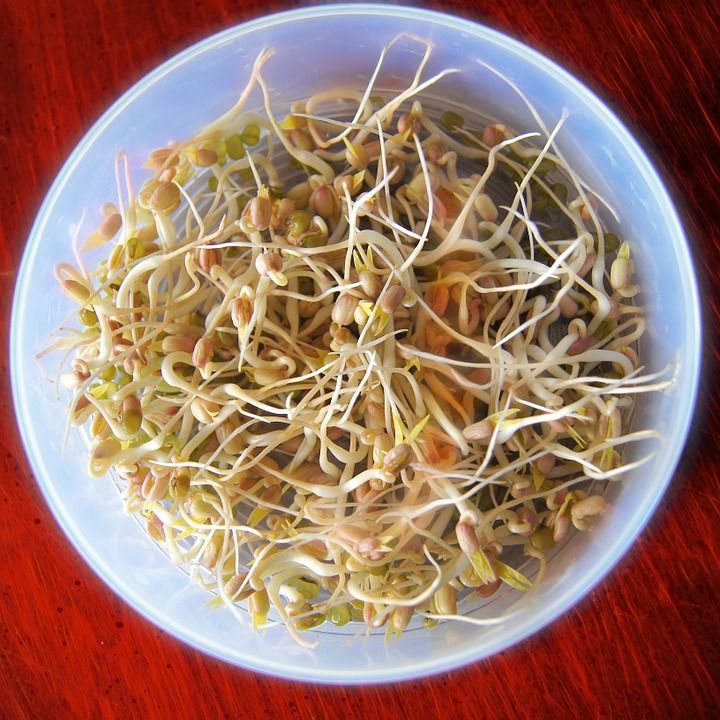 bean sprouts 657415 960 720