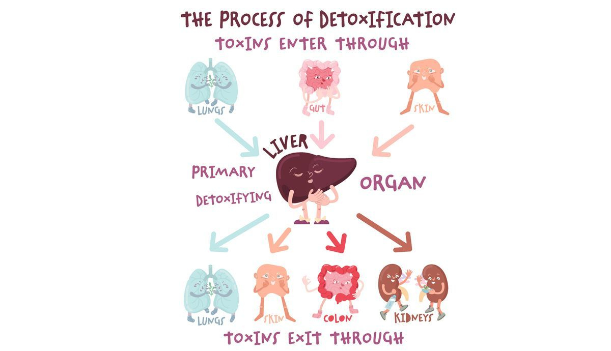 Beneficios de hacer una dieta depurativa en primavera  (proceso de detoxificación natural)