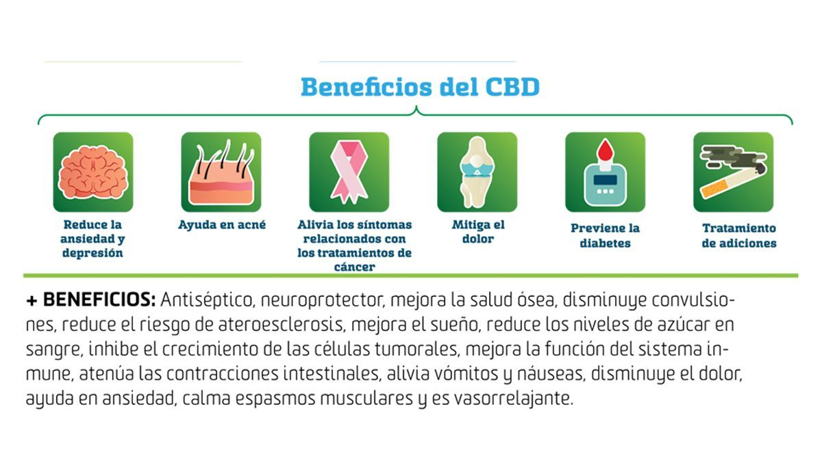 Beneficios del CBD Beneficios del CBD