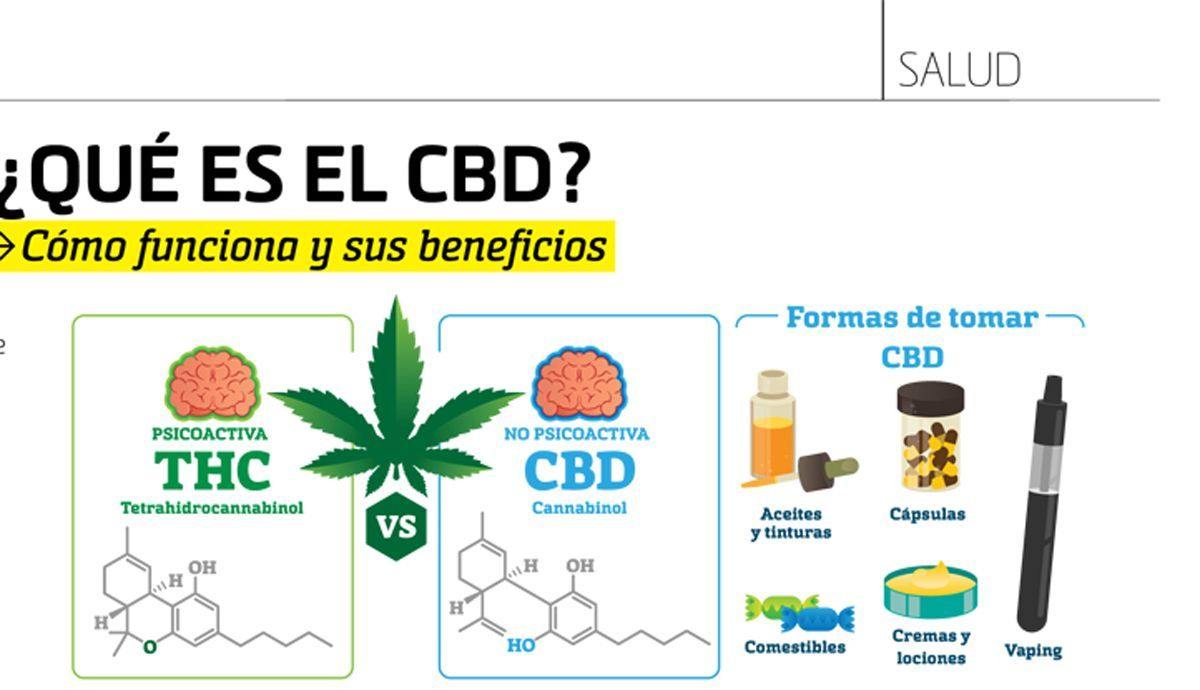 Infografía qué es el CBD Infografía qué es el CBD