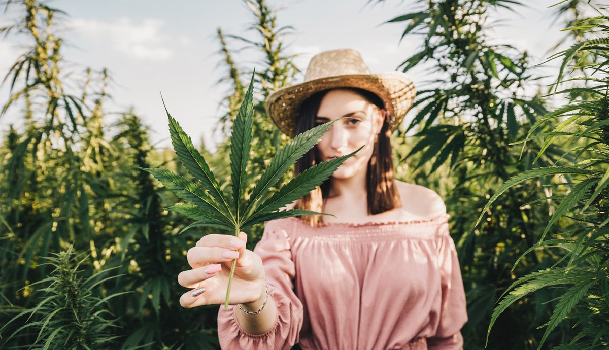 Qué es el CBD. Cómo funcionan los cannabinoides y sus beneficos para la salud