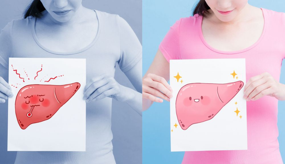 hígado sano vs hígado enfermo hígado sano vs hígado enfermo