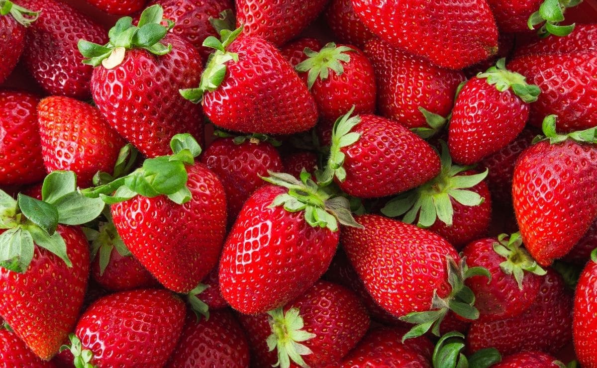 Fresas un superalimento de temporada