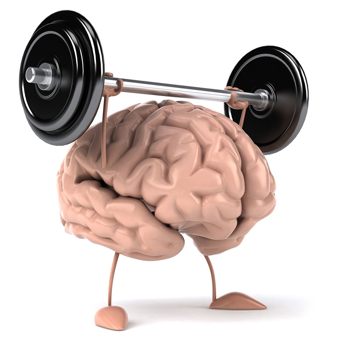 cerebro como funciona