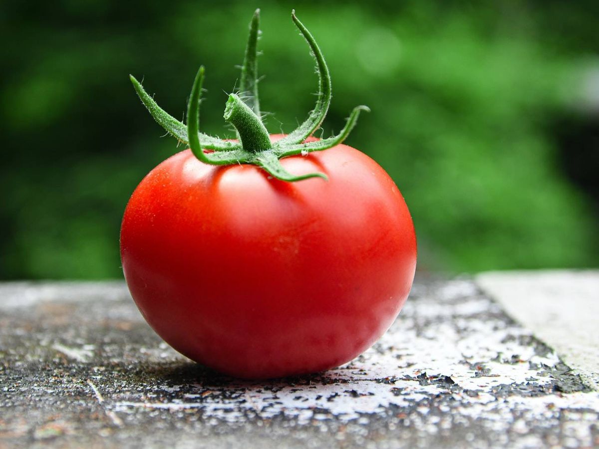 Un tomate rico en vitamina D