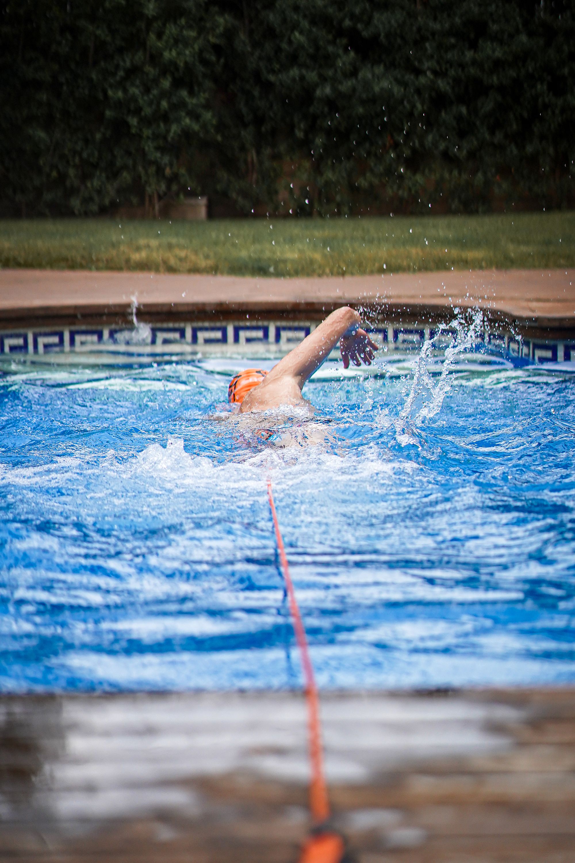 DSC02736low DSC02736low