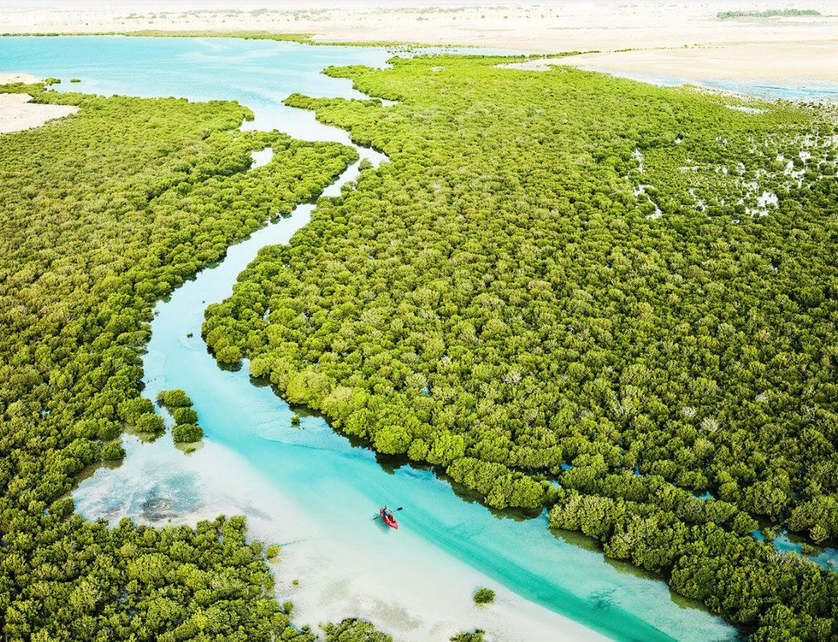 Recorrer en kayak los manglares de la reserva natural Al Thakira es una de las posibilidades deportivas más sugerentes de Catar Recorrer en kayak los manglares de la reserva natural Al Thakira es una de las posibilidades deportivas más sugerentes de Catar