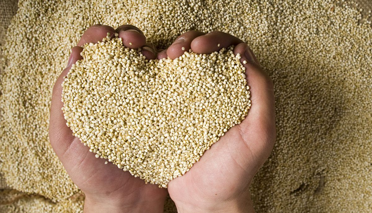 El consumo habitual de quinoa puede contribuir a prevenir la aparición de la diabetes tipo 2 El consumo habitual de quinoa puede contribuir a prevenir la aparición de la diabetes tipo 2