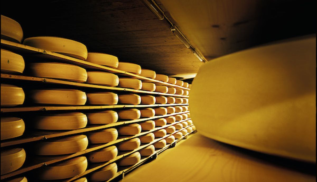 Queso Emmentaler AOP elaboración Queso Emmentaler AOP elaboración