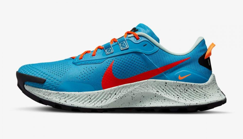 Nike Pegasus Trail 3