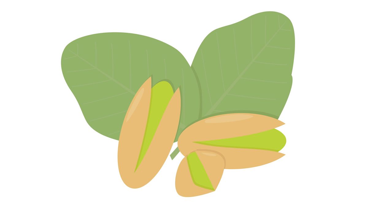 Pistachos, proteína vegetal completa y cruda