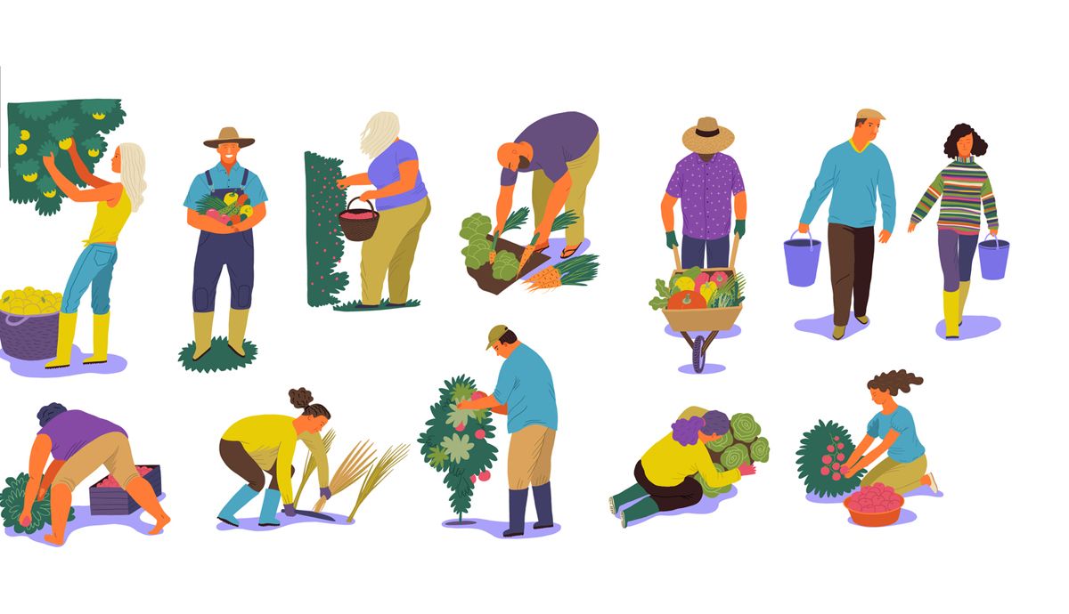 Frutas y verduras el sabor de la felicidad