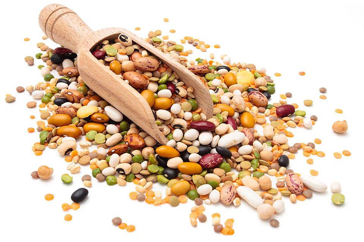 Los antinutrientes ¿el enemigo oculto que boicotea nuestra dieta saludable?