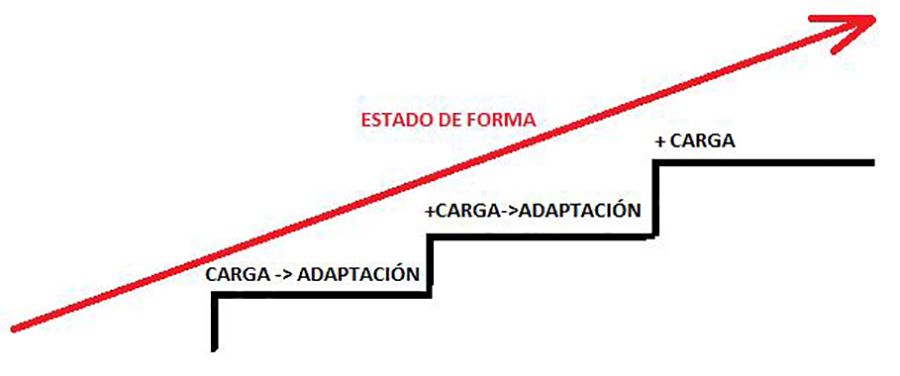 Sobrecarga progresiva Sobrecarga progresiva