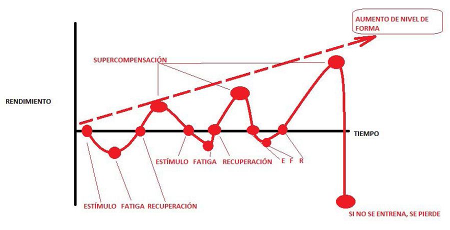 Supercompensacion Supercompensacion