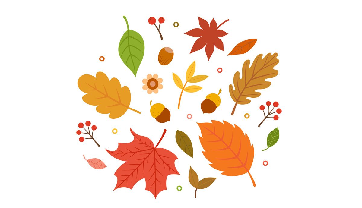 Recetas de otoño