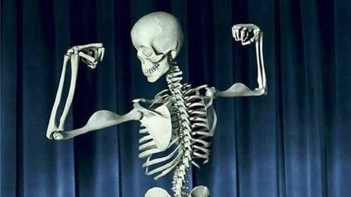 Huesos fuertes en dietas vegetarianas