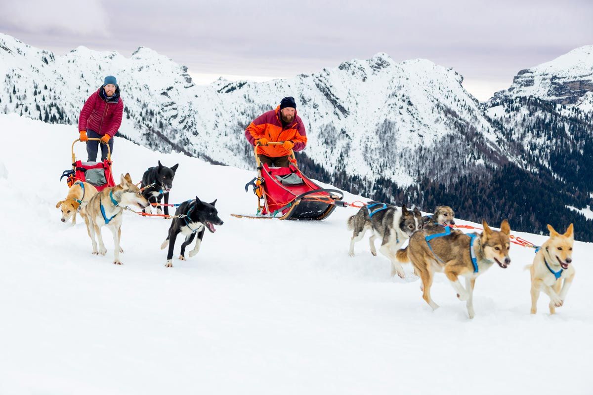 Entre otras muchas actividades en Maniva podrás ir en trineo tirado por perros Entre otras muchas actividades en Maniva podrás ir en trineo tirado por perros