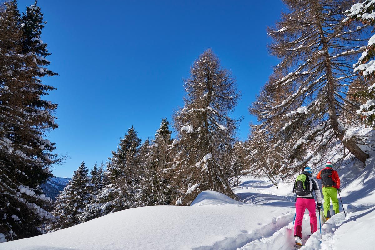 En Schilpario, por un sendero del bosque que llega hasta el monte Gardena En Schilpario, por un sendero del bosque que llega hasta el monte Gardena