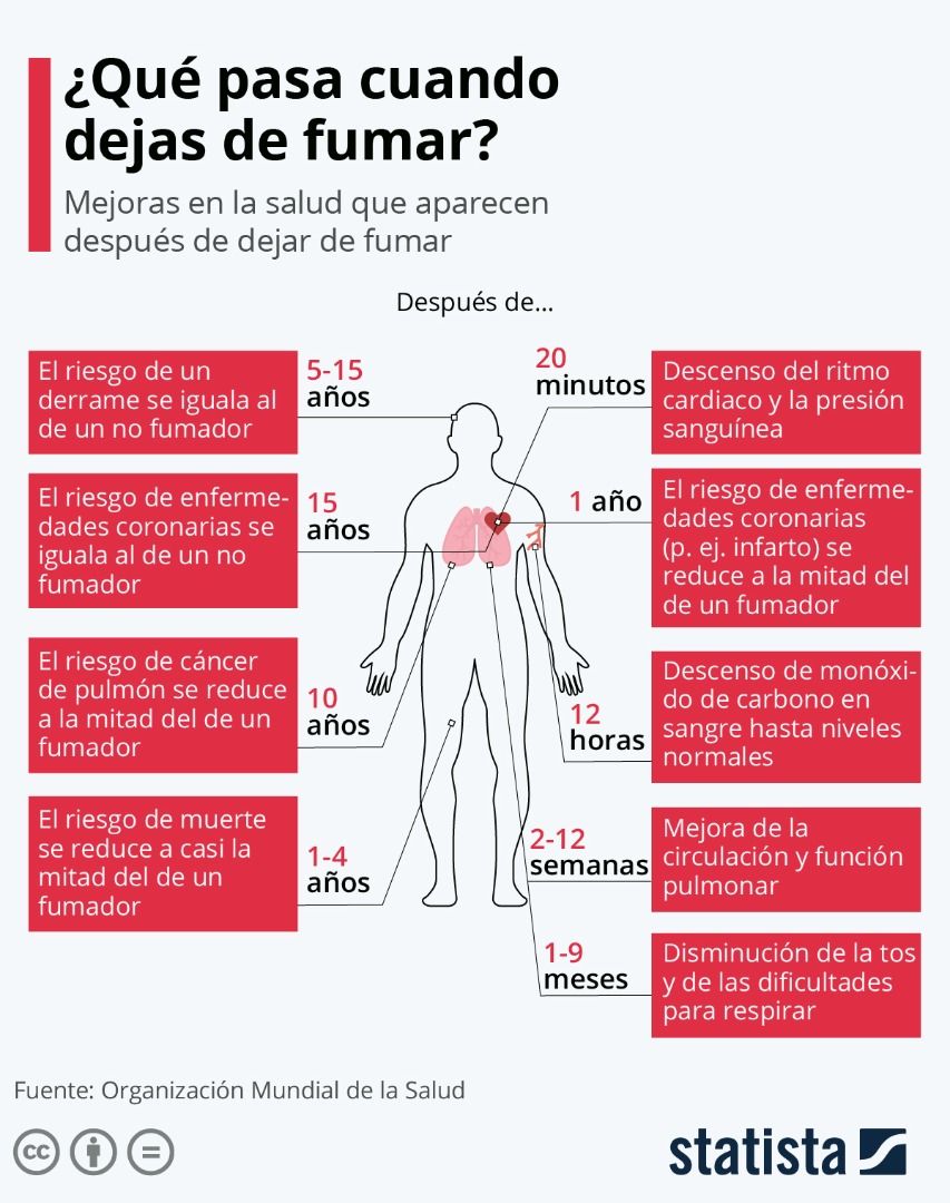 cuerpo