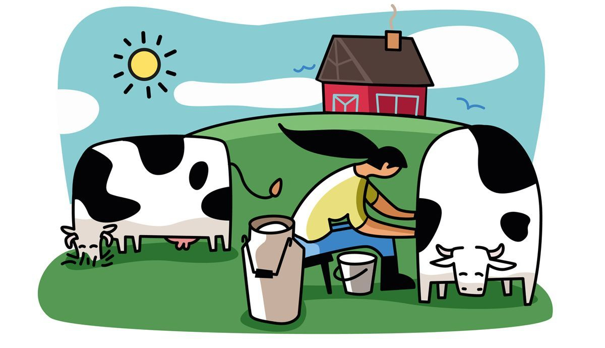 Leche de vaca vs bebida vegetal Leche de vaca vs bebida vegetal