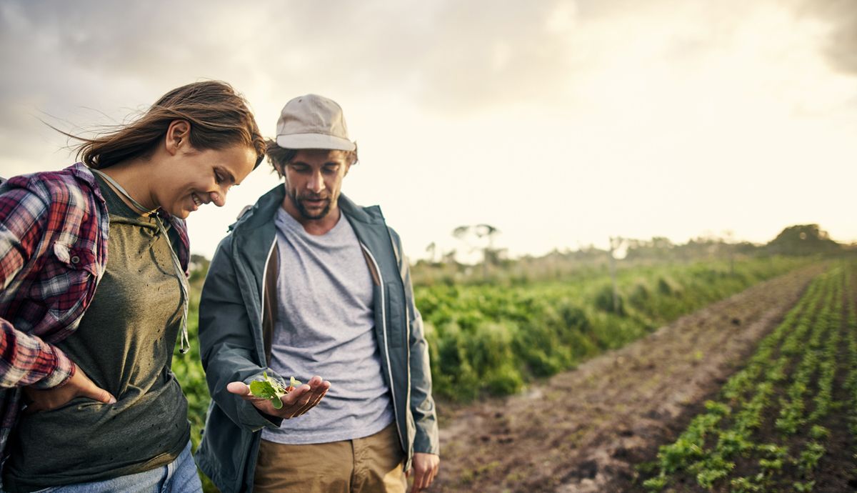 Sostenibilidad, asignatura pendiente en las guías de alimentación