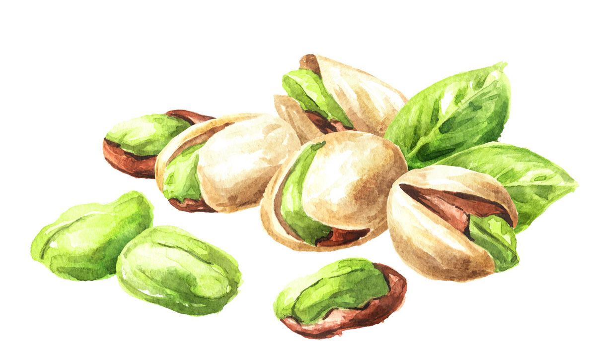 Pistachos para mantener las células sanas