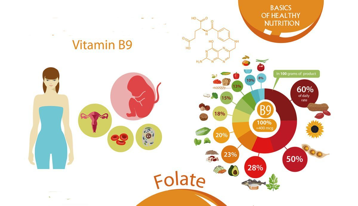 Alimentos ricos en ácido fólico o vitamina b9 - Ovoclinic