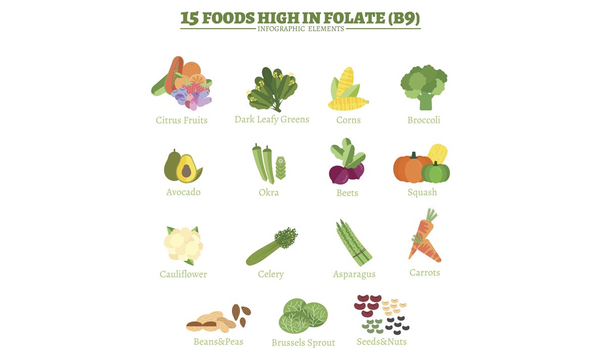 Alimentos ricos en ácido fólico o vitamina B9