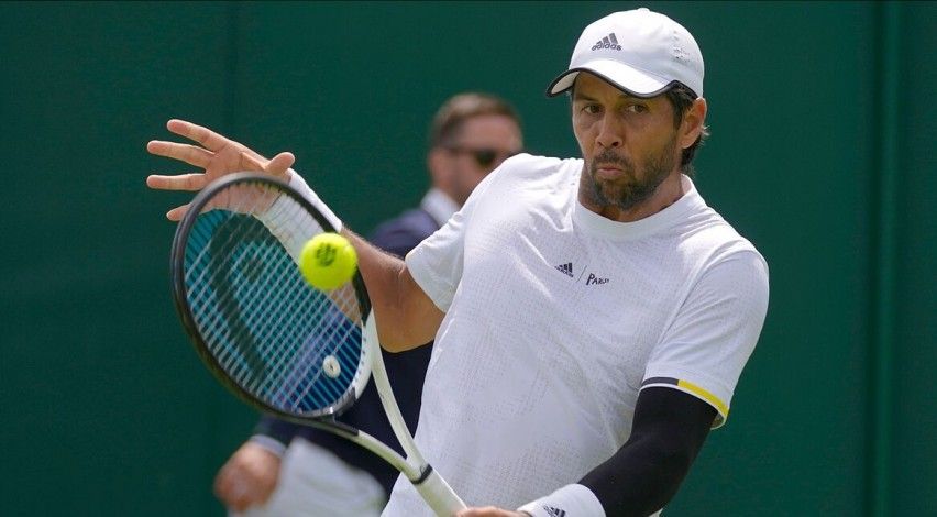 Fernando Verdasco