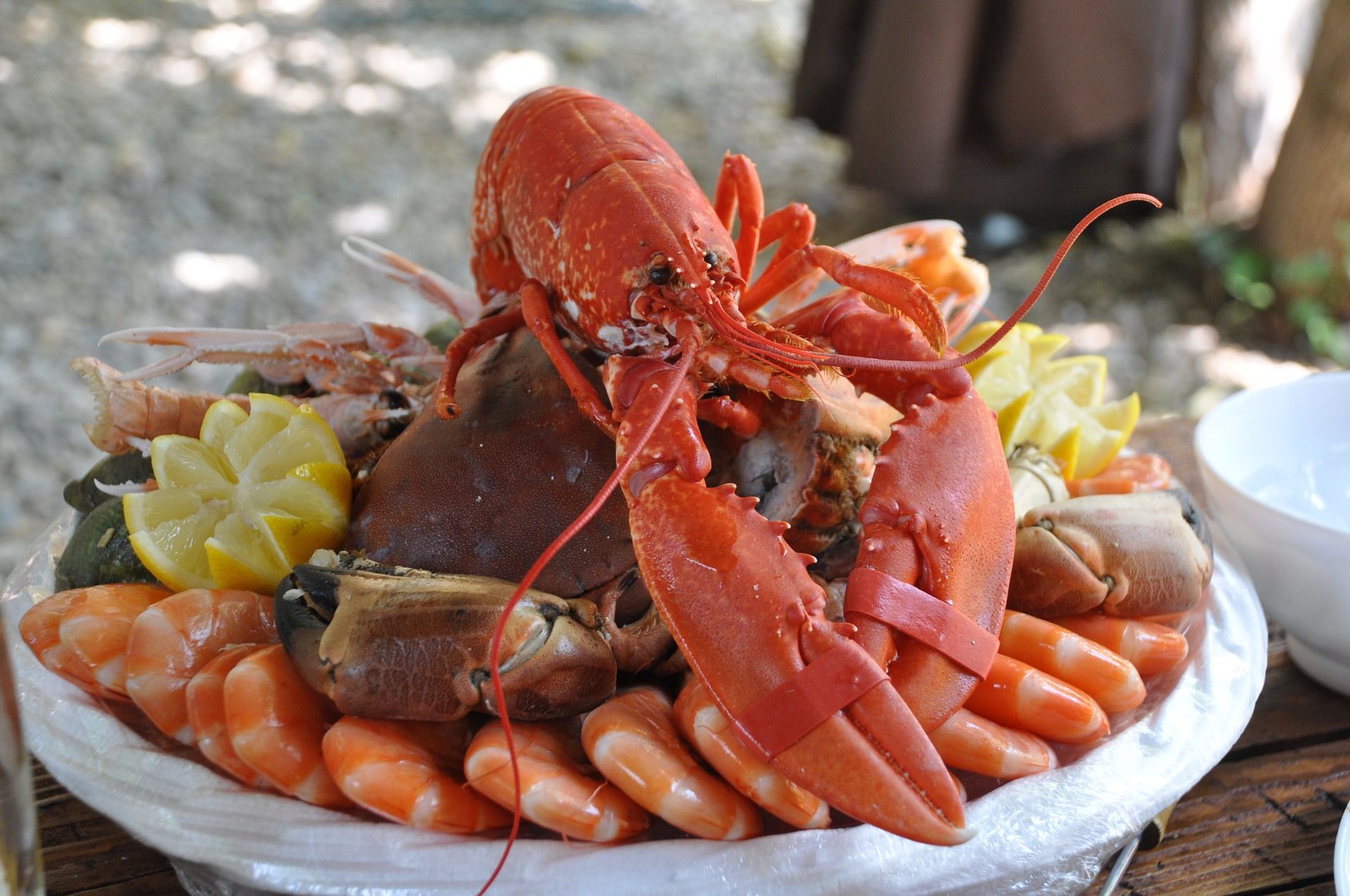 MARISCADA 1 MARISCADA 1