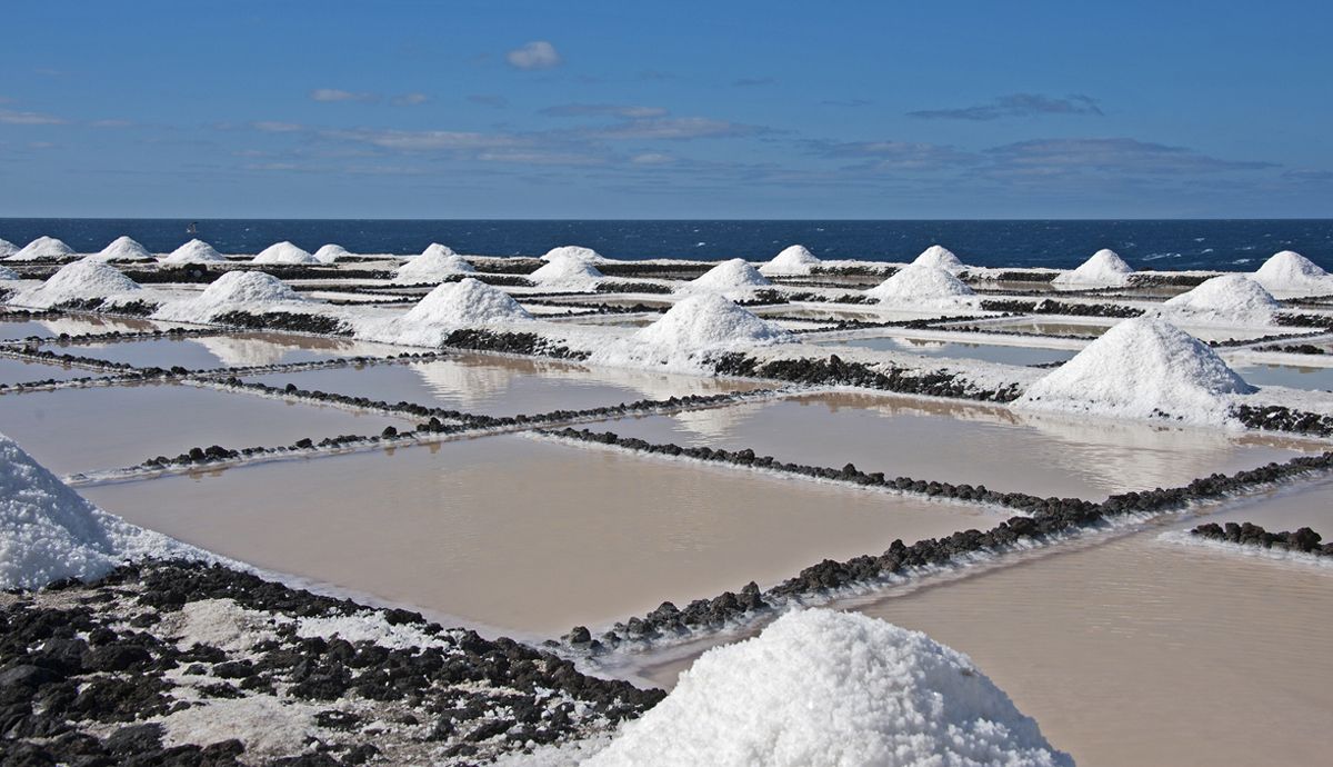 La mejor sal marina virgen y ecológica viene del parque natural Bahía de Cádiz
