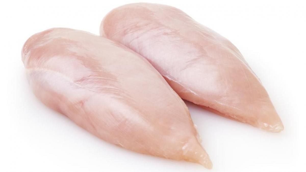 pollo pollo