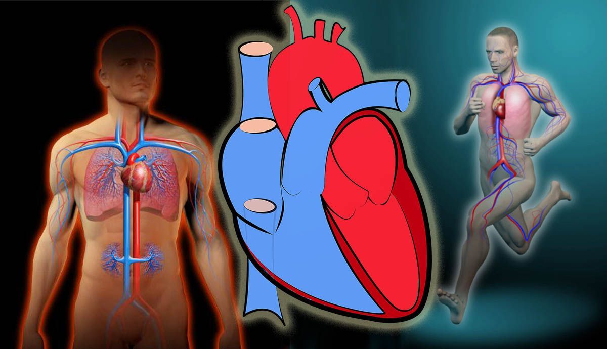 Los riesgos del corazón de un deportista