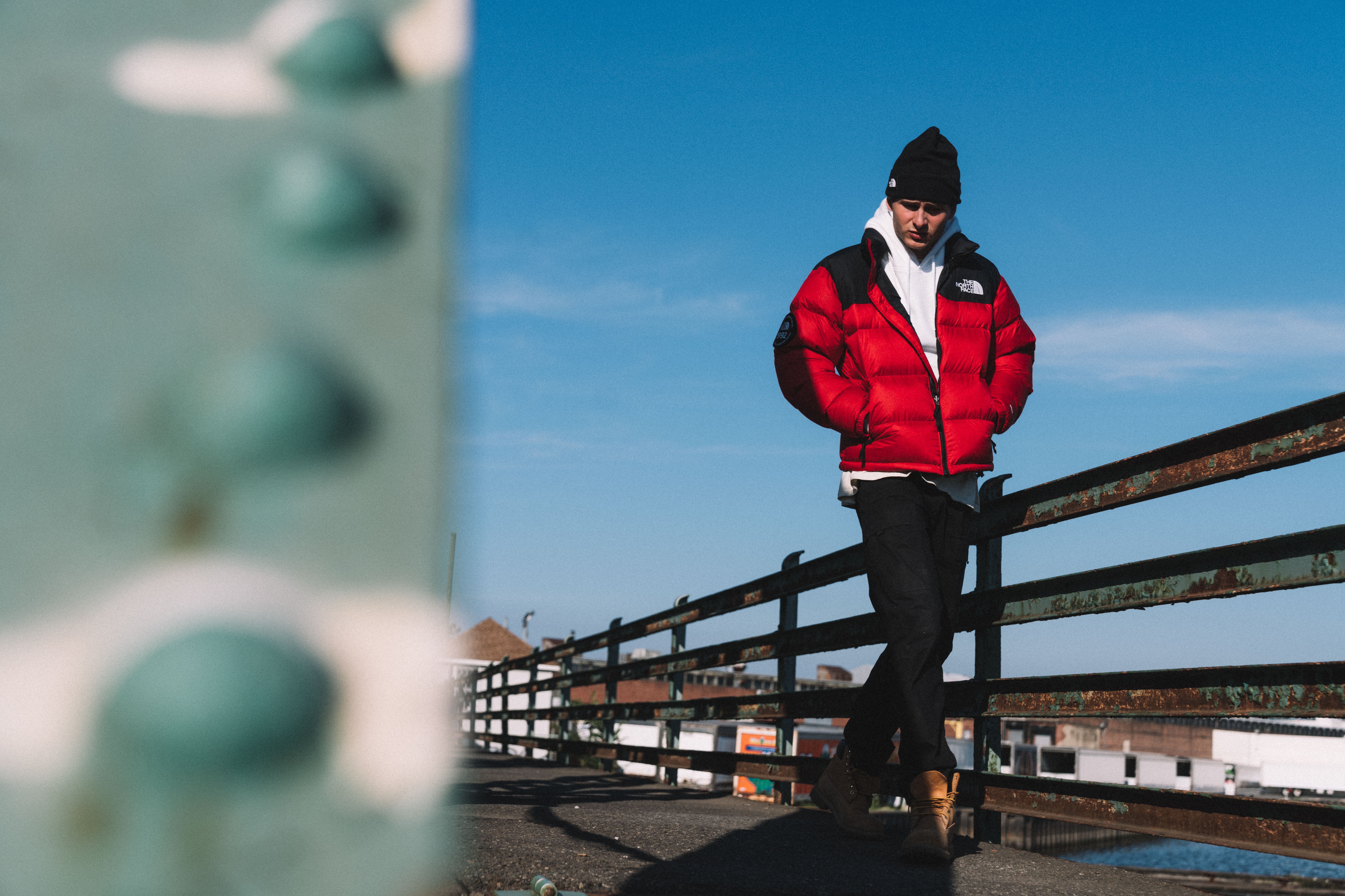 TNF2 TNF2